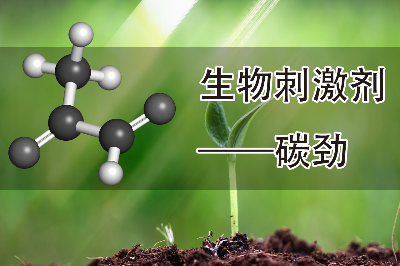 生物刺激劑——碳勁